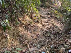 -黄埔油麻山森林公园