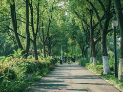 -金银湖国家城市湿地公园