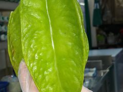 -黎恩凉茶·果汁(广卫路店)