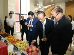 -广西规划馆
