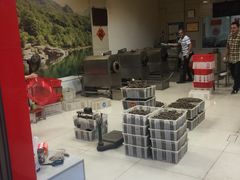 -阿男野栗王(金门路店)