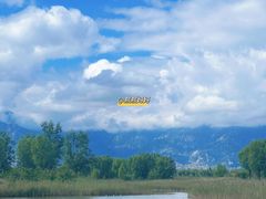 -野鸭湖国家湿地公园