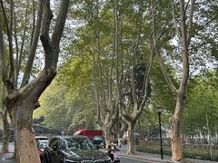 -浙江大学(玉泉校区)
