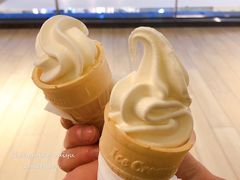 冰淇淋-千稻剁椒大鱼头(CityOn熙地港店)