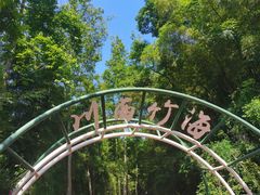 -川西竹海景区