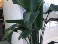 -雲己推拿院·养生SPA(江北龙湖天街店)