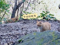 -北京凤凰岭