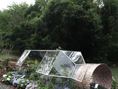 -深圳仙湖植物园
