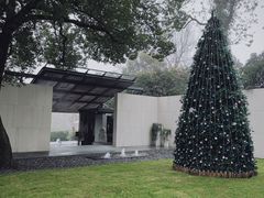 -九里云松·天香餐厅