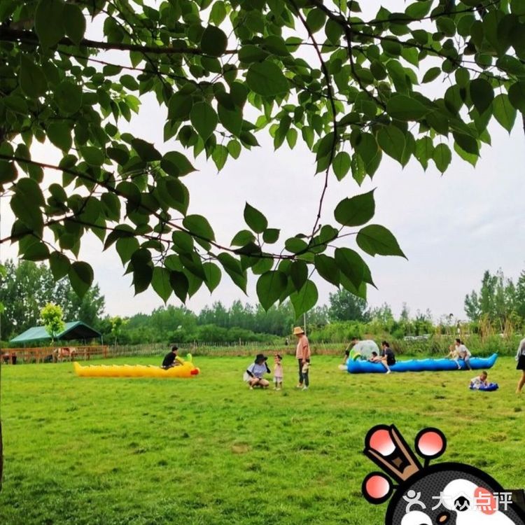 在悦芽谷与夏天草地来个约会吧