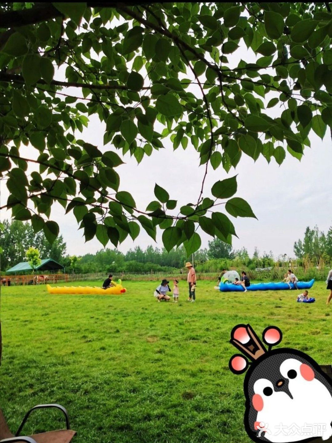 在悦芽谷与夏天草地来个约会吧