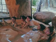 -100蛋泥浆浴