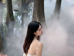 -东湖落雁景区