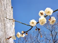 -北京明城墙遗址公园