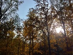 -奥林匹克森林公园南门-停车场