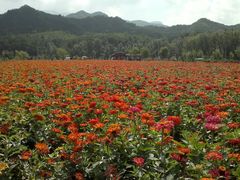 2013-09-06-531-百里山水画廊乌龙峡谷