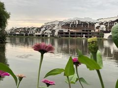 -长兴太湖图影湿地文化园