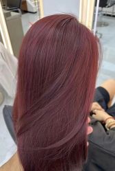 -东方麒麟·潘多拉SALON