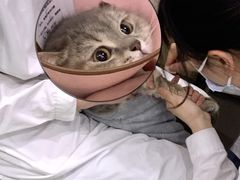 -贝利宠物医院·骨科·眼科·肿瘤转诊中心(南坪诊疗中心)