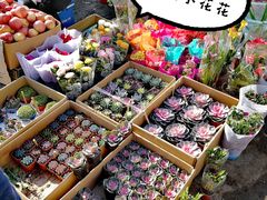 -蒲河大集