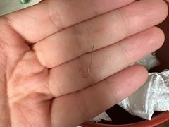 -胖哥料理(兴义里店)