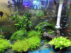 -双季花艺园艺市场(浦东店)