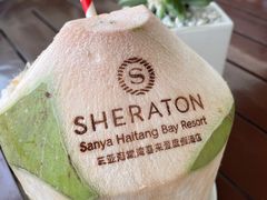-三亚海棠湾喜来登度假酒店大堂吧