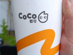 芋圆奶茶-CoCo都可(大润发中原店)