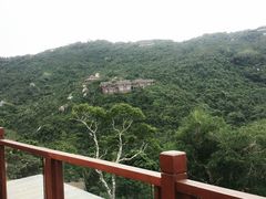 android_upload_pic-三亚亚龙湾人间天堂鸟巢度假村