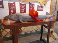 -胖姐渔村(中源大道店)