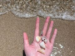 -西涌国际滨海旅游区