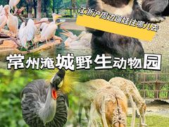 -常州淹城野生动物世界
