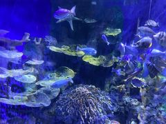 -左海海底世界