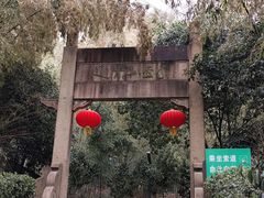 -紫金山山顶公园