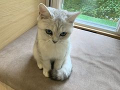-猫和宫(六道口店)