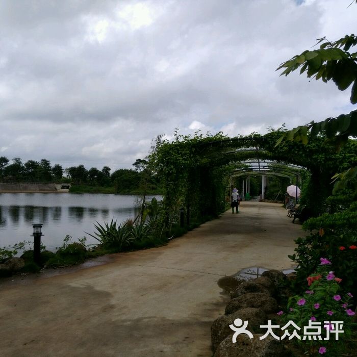 品胜天鹅湖庄园