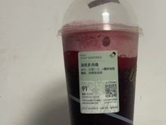 满瓶多肉桑-喜茶(广州保利中环店)