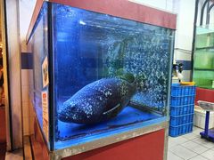 -大茄来海鲜餐厅(亚洲城分行)