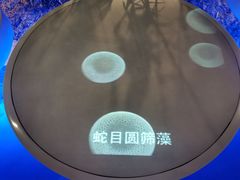 -上海长江河口科技馆