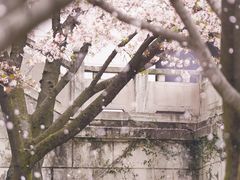 -苏州上方山国家森林公园