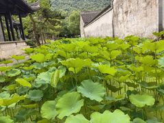 -兰亭风景区