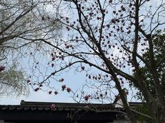 -巡塘古镇