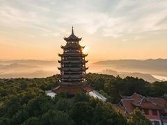 -铁山坪森林公园