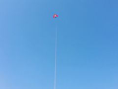 -春花秋色城市公园