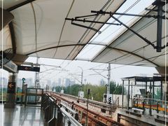 -外高桥保税区南(地铁站)