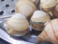 -海大大蒸汽海鲜餐厅·粤菜·特色小炒(欢乐颂店)