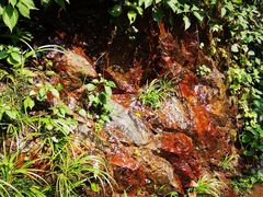 -宁波五龙潭景区