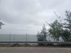 -那琴半岛地质海洋公园