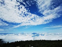 -白草畔自然风景区