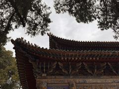 -玉泉观